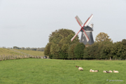 Mhle in Aschwarden