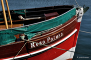 Rosa Paluka